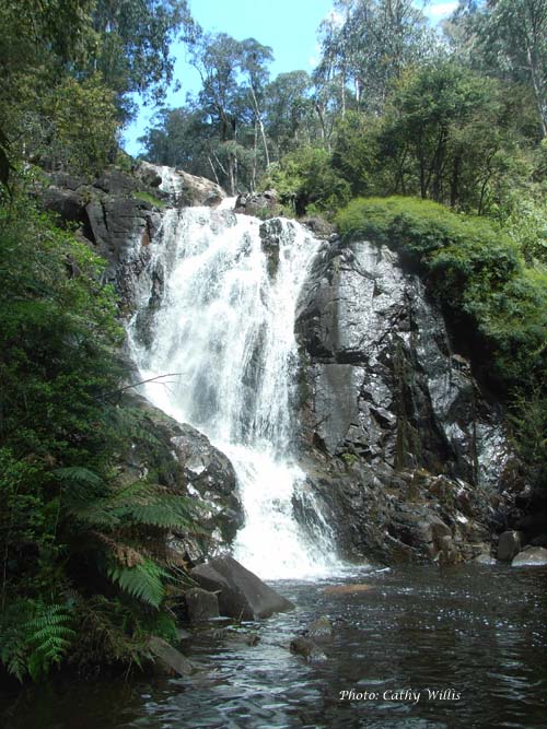 Stevensons Falls