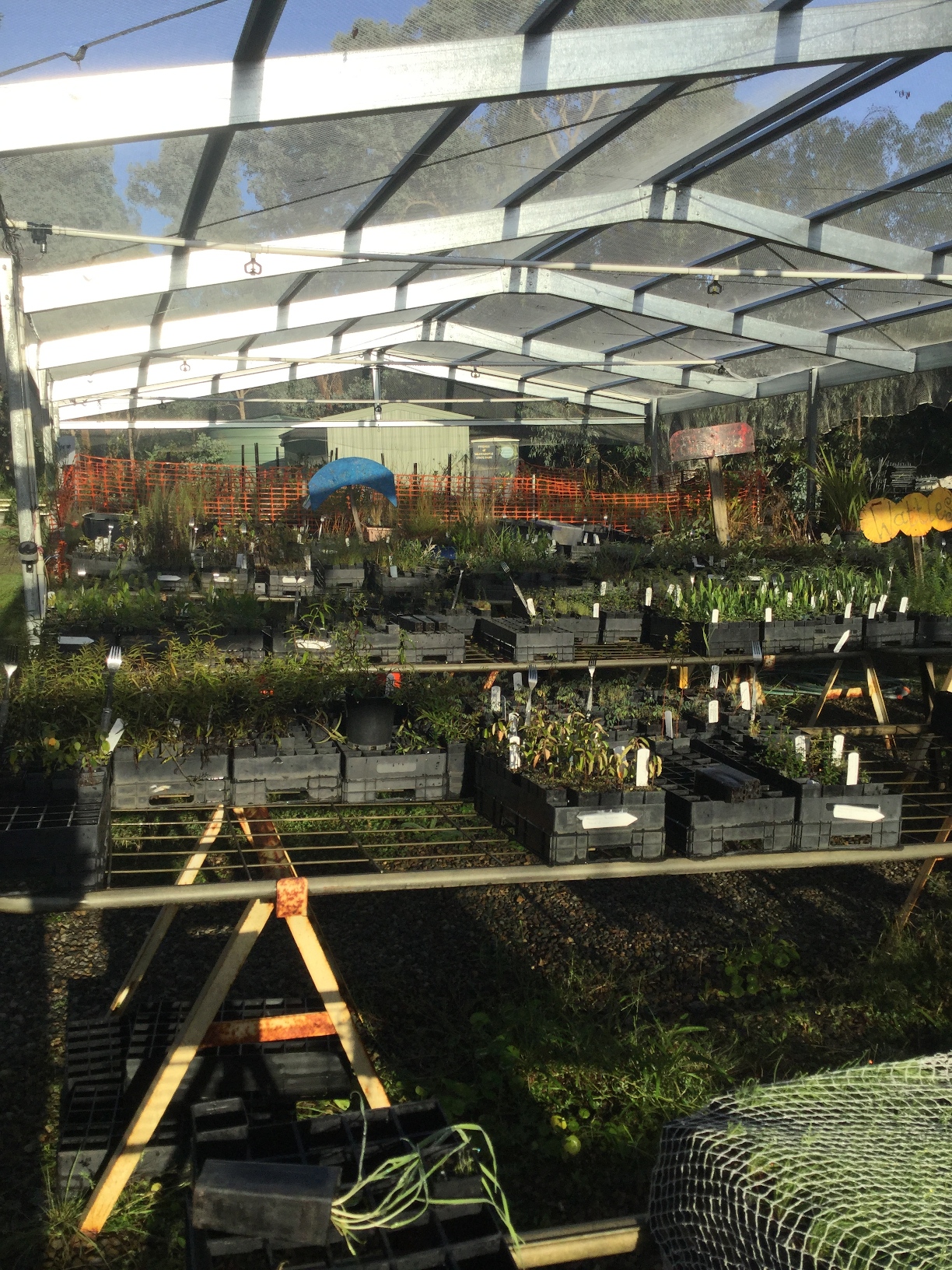 Nursery / Sales area
