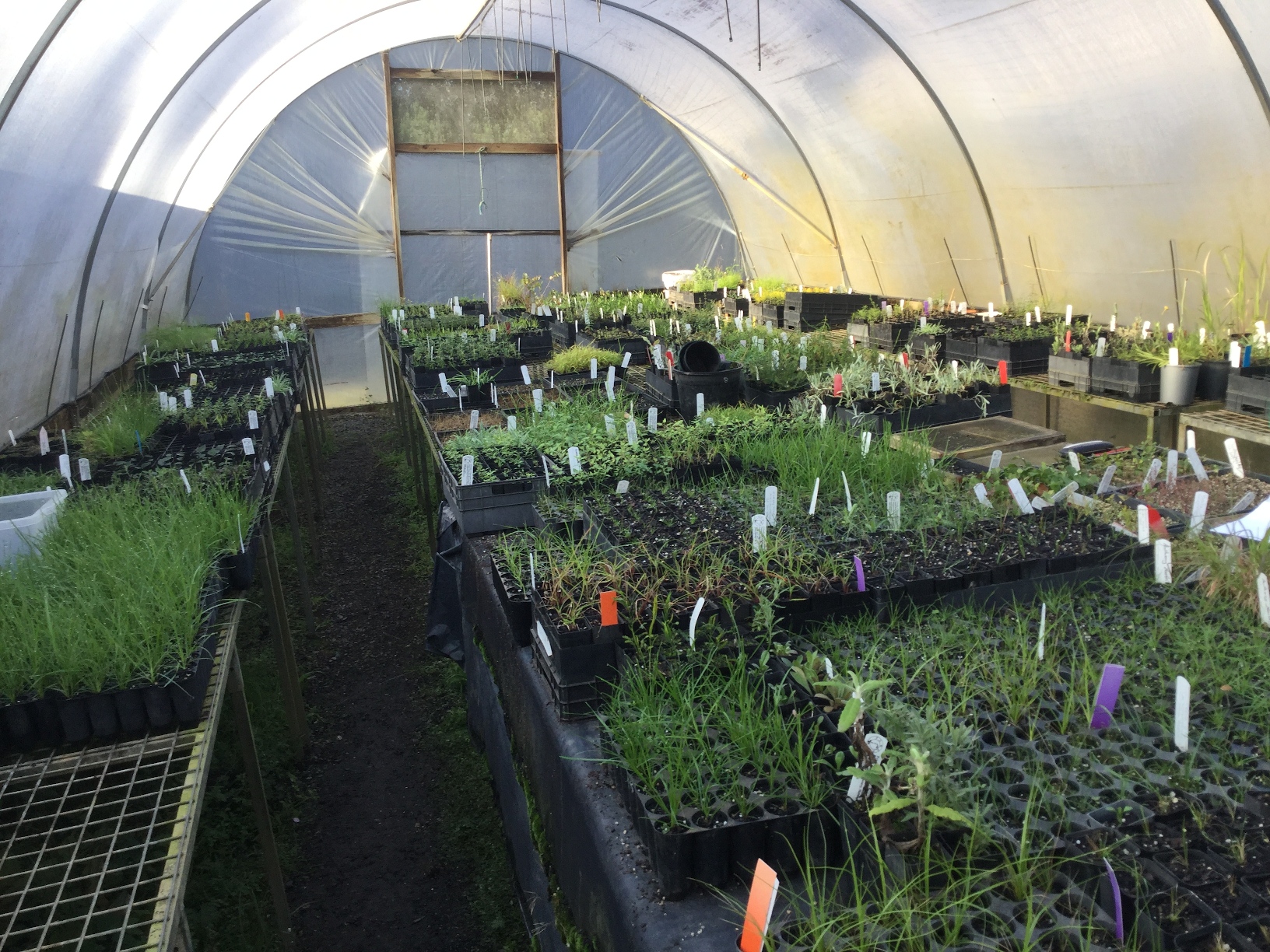 Nursery / Old igloo