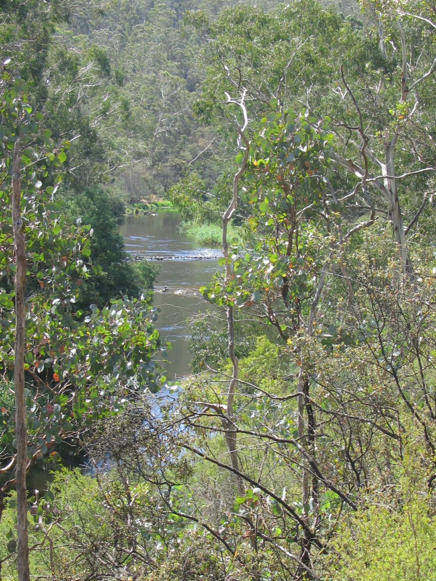 Along the "Blue Tongue" track
