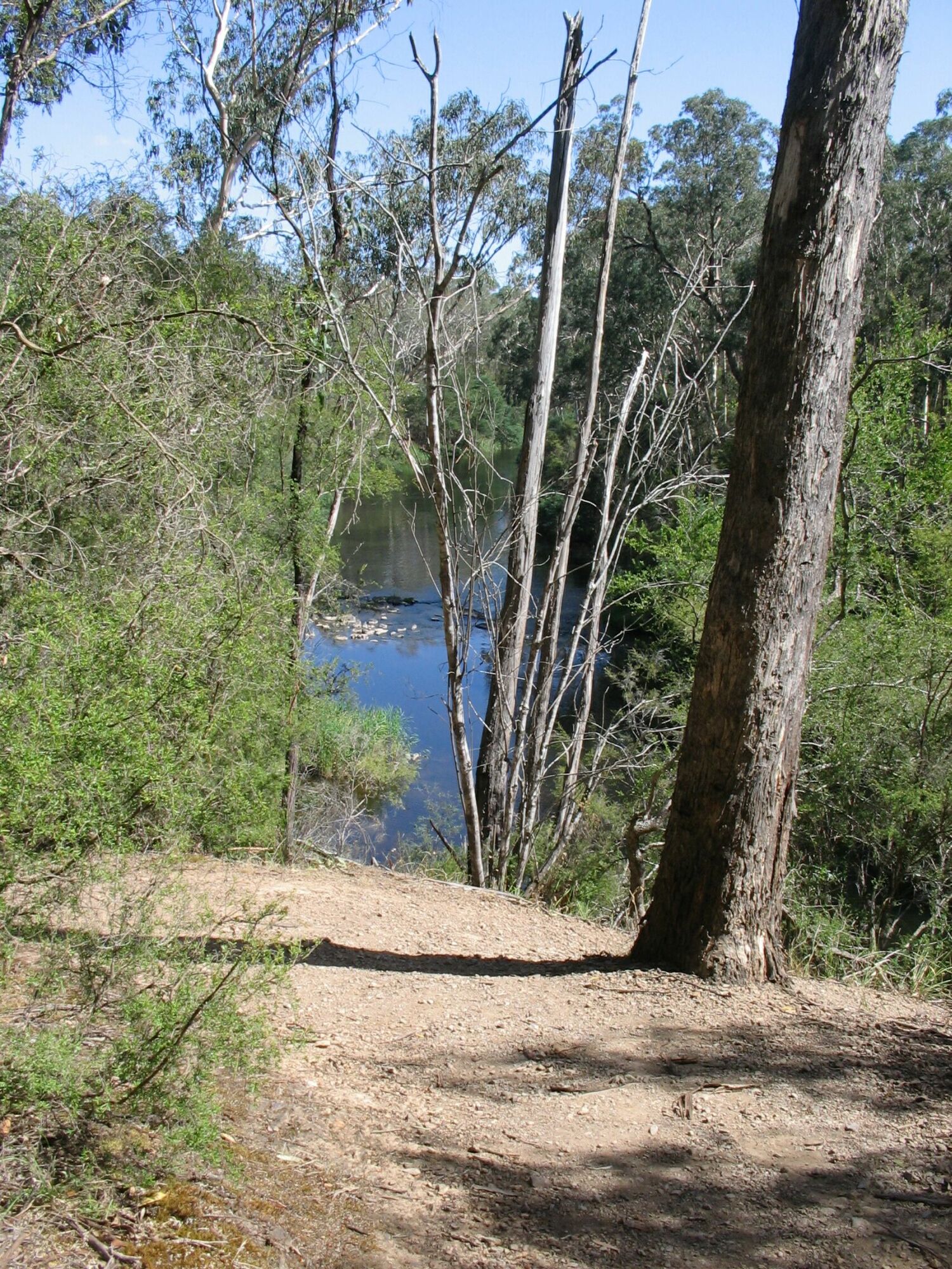 Along the "Blue Tongue" track