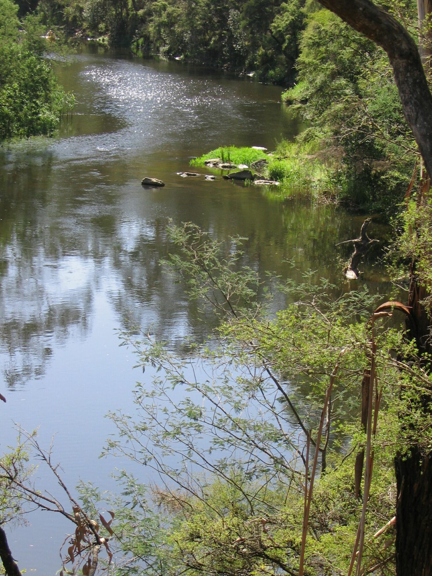 Along the "Blue Tongue" track
