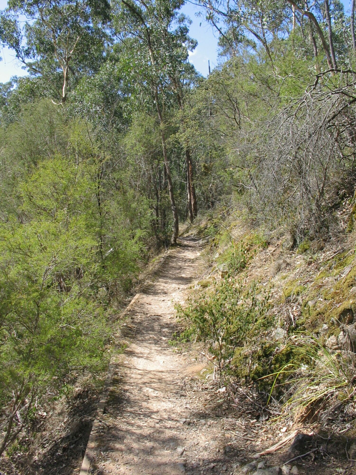 Along the "Blue Tongue" track