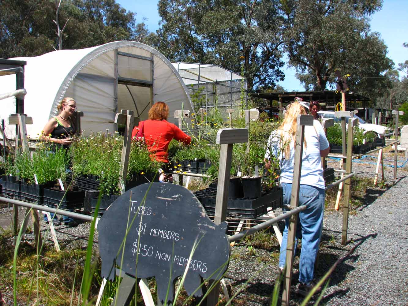 FOWSP nursery at Pound Bend