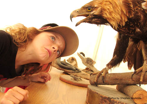Eagle ogle
