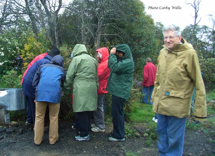 Bruce and all model raincoats