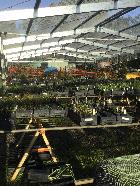 Nursery / Sales area