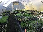Nursery / Old igloo