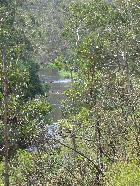 Along the "Blue Tongue" track