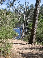 Along the "Blue Tongue" track
