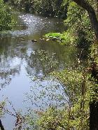 Along the "Blue Tongue" track