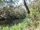 Along the "Blue Tongue" track
