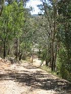 Looking down the track towards the Yarra.