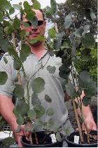 Ben catches Jason in camouflage
