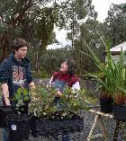 Josh from Smoko with Lynn